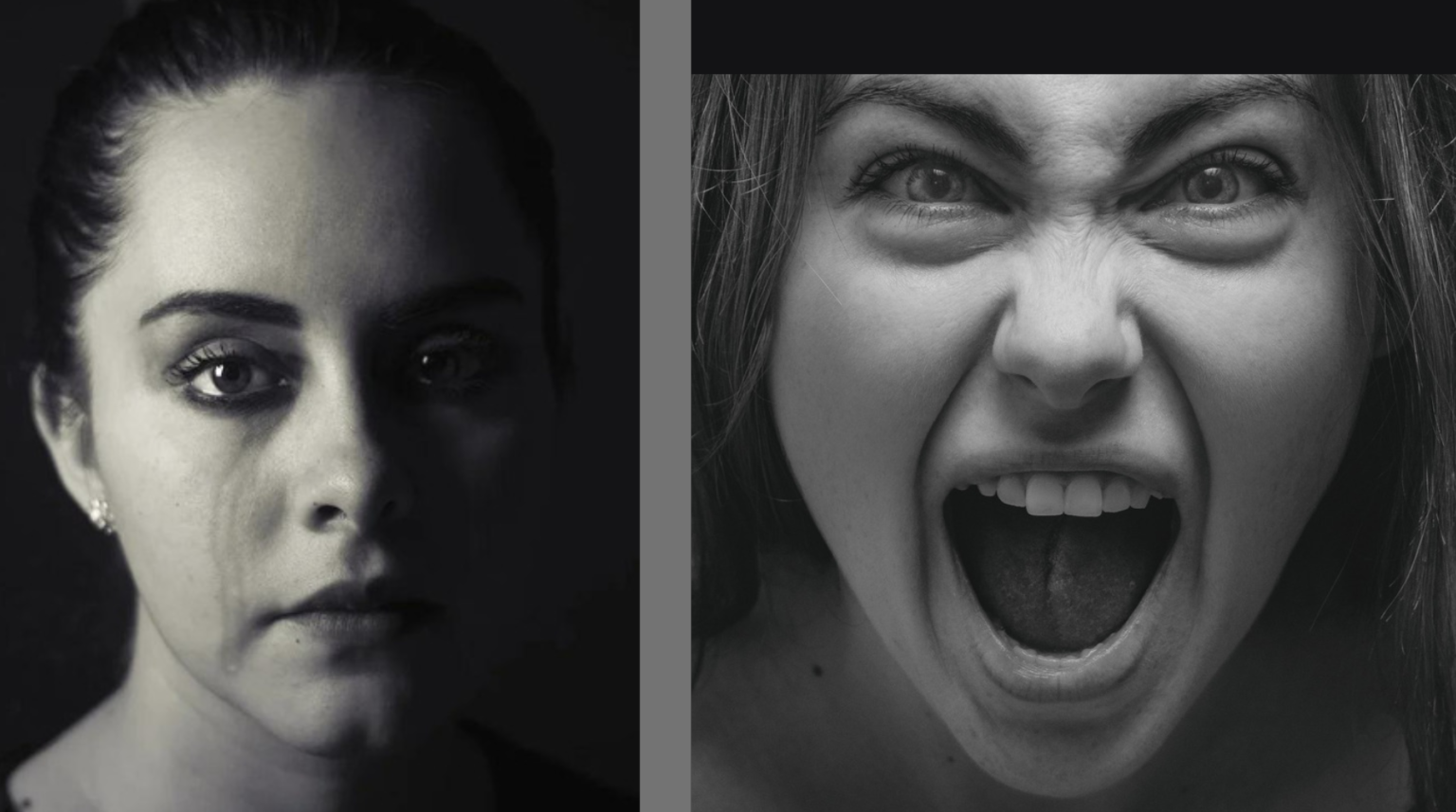The Connection Between Gothic Writing & Intense Emotions - Charlotte ...